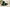 Folivis Daily Capsules — Men