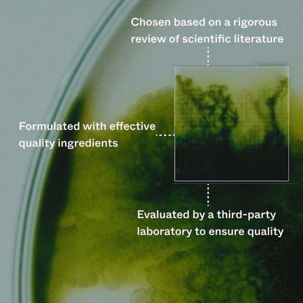 facts_c7659378-c0cf-4045-bdde-731f41c49e87 facts_c7659378-c0cf-4045-bdde-731f41c49e87