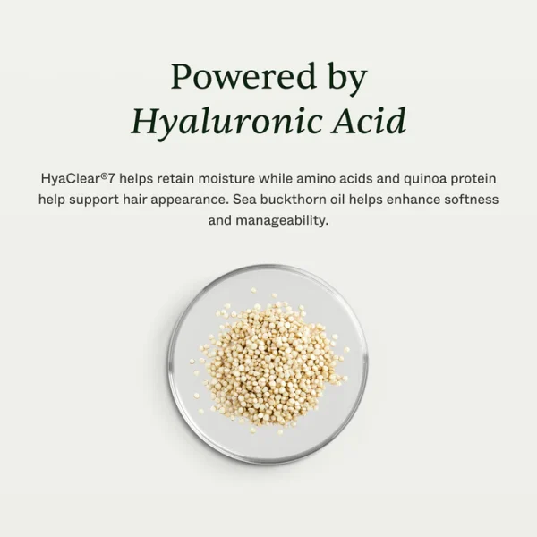 hair-mask-features hair-mask-features